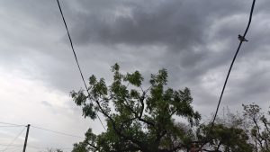 Weather Alert: Rain and Thunderstorms Expected in Kota, Udaipur, Bharatpur, Jodhpur, and Bikaner on June 14–15