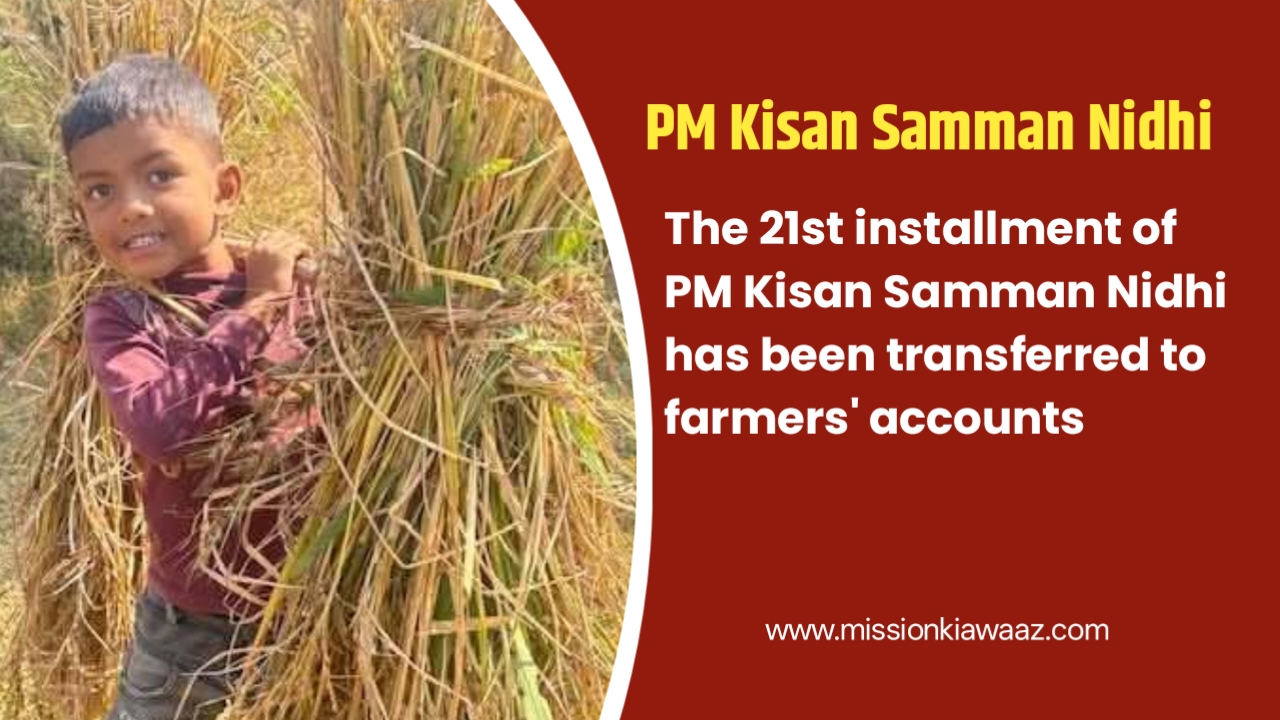 The 21st installment of PM Kisan Samman Nidhi has been transferred to farmers’ accounts. If the amount has not arrived, learn what to do.