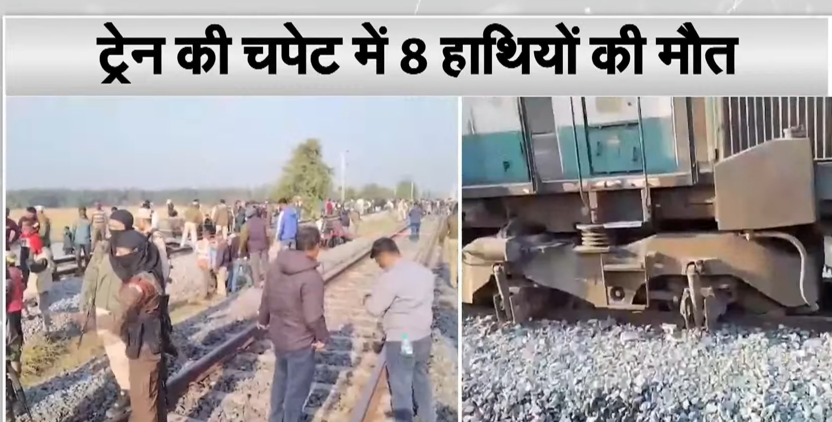 Assam: Rajdhani Express collides with a herd of elephants, 8 elephants ...