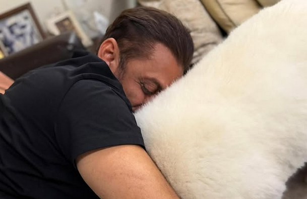 Salman Khan Pets