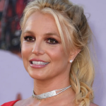 Britney Spears DUI Case