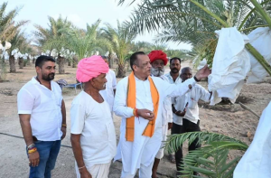 Pali Rajasthan News